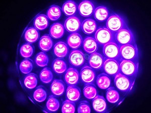 Đèn led cực tím-cuộc cách mạng đang đến gần